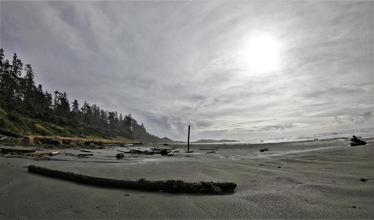 Cobble Wood And Bird Sanctuary Guest Houses Tofino Eksteriør bilde