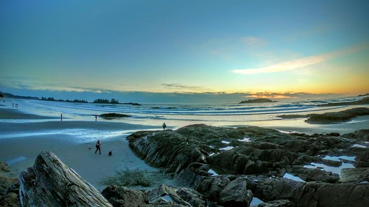 Cobble Wood And Bird Sanctuary Guest Houses Tofino Eksteriør bilde