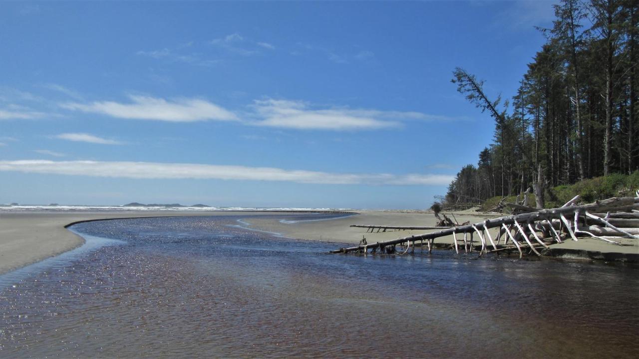 Cobble Wood And Bird Sanctuary Guest Houses Tofino Eksteriør bilde