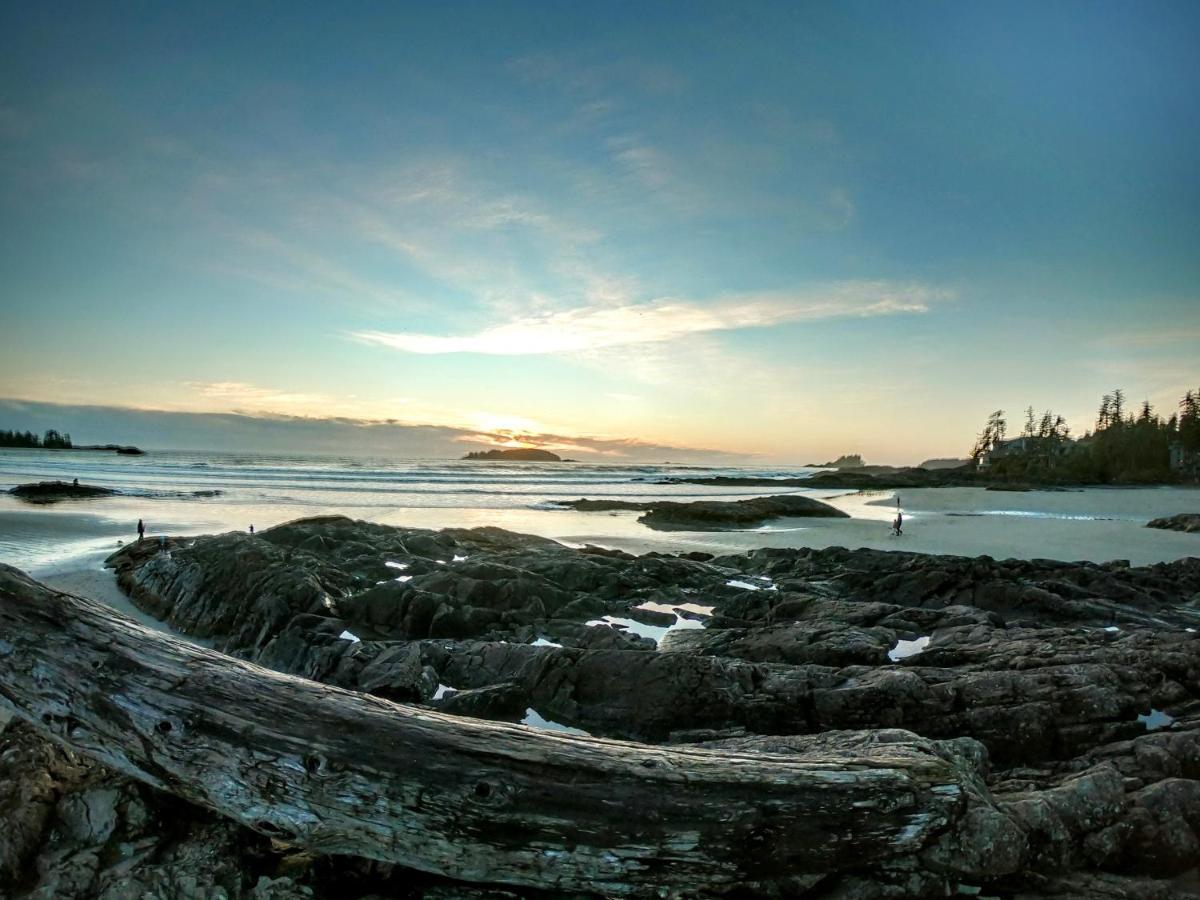 Cobble Wood And Bird Sanctuary Guest Houses Tofino Eksteriør bilde