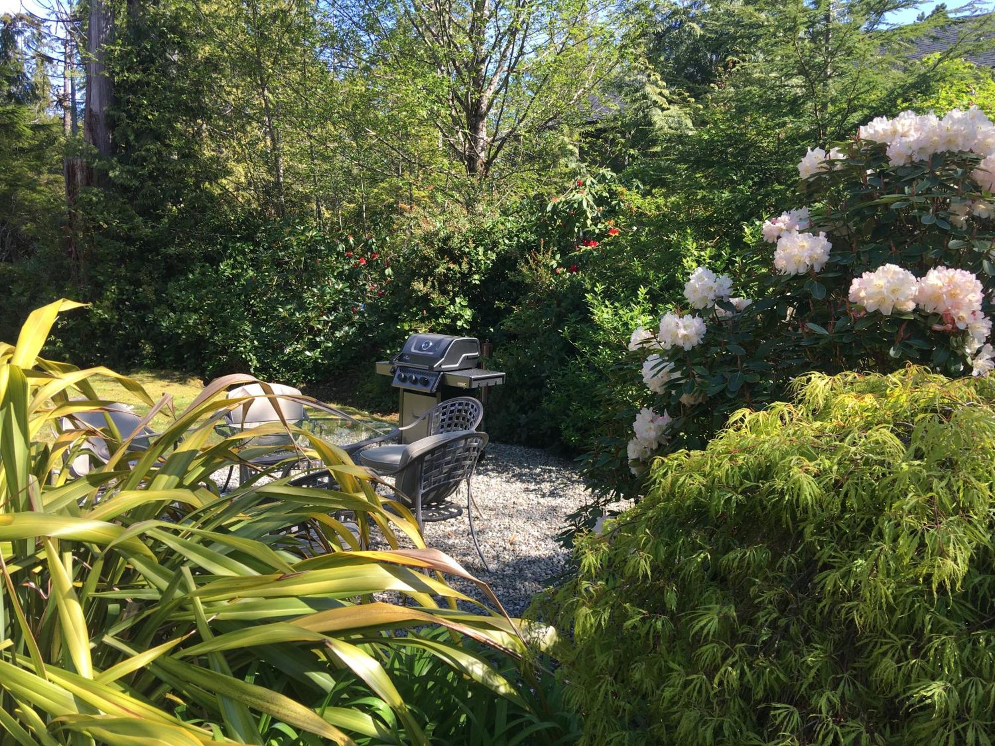 Cobble Wood And Bird Sanctuary Guest Houses Tofino Eksteriør bilde