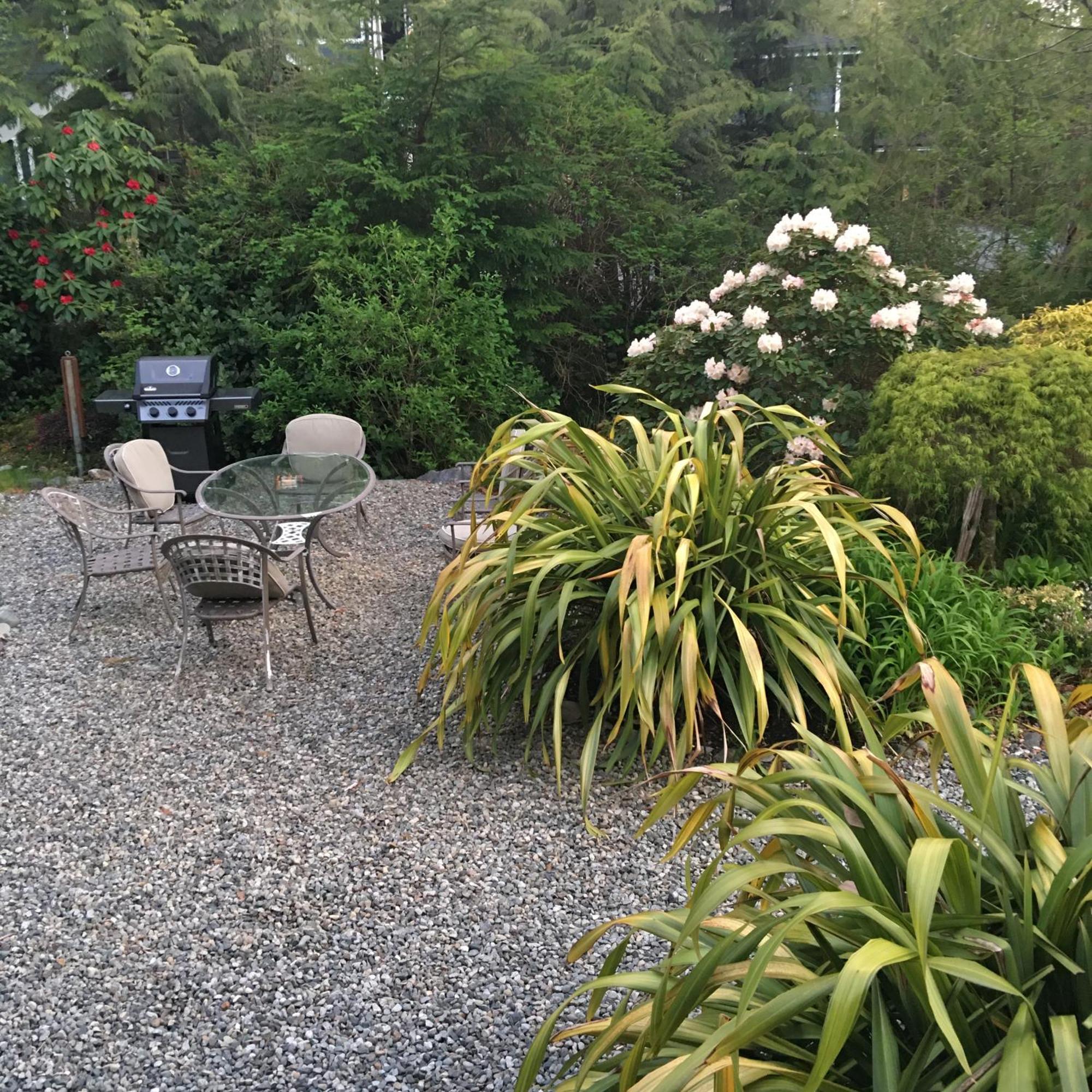 Cobble Wood And Bird Sanctuary Guest Houses Tofino Eksteriør bilde