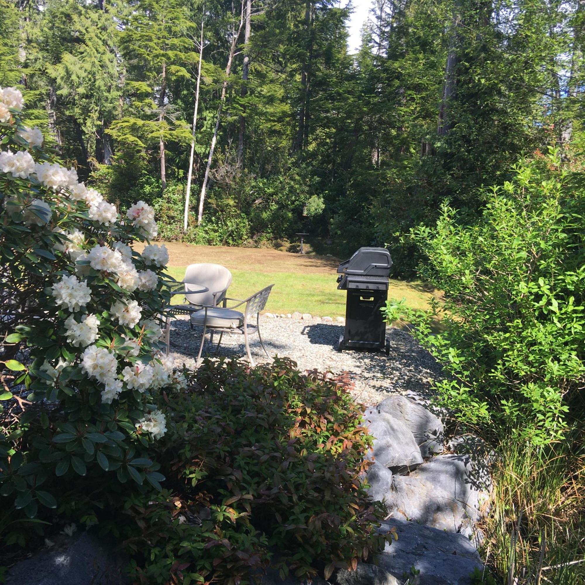 Cobble Wood And Bird Sanctuary Guest Houses Tofino Eksteriør bilde