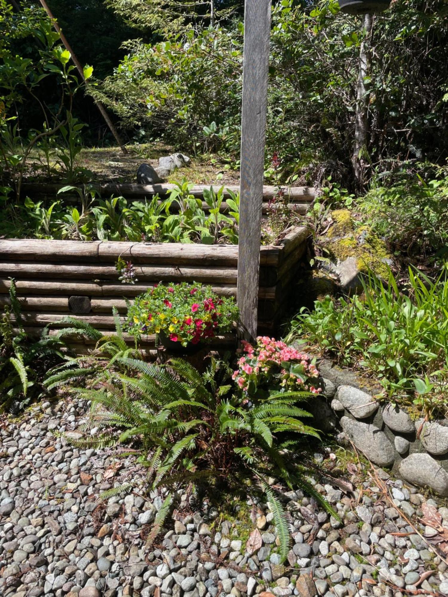 Cobble Wood And Bird Sanctuary Guest Houses Tofino Eksteriør bilde